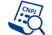 Consulta Cnpj